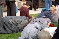 20090913 silines 1171 ds