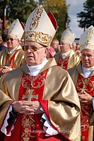 20090913 silines 1215 ds