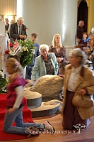 20090913 silines 2040 ds