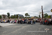 20090915 silines 0028 dch