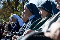 20100909 silines 0027 sk