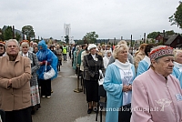 20100910 silines 0048 sk