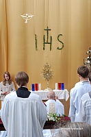 2011 devintines 0201 ds