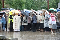 20110909 silines 0141 dch