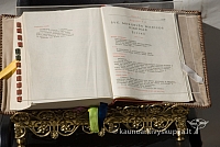 20110911 silines 0178 dch