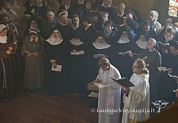 20110914 silines 0022 dch