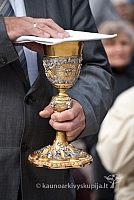 20120908 silines 0029 ms