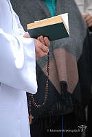 20120908 silines 0194 ms