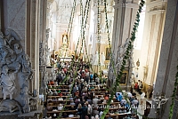 20120909 silines 0253 sk