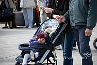 20120909 silines 0418 sk