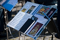 20120910 silines 2183 ms