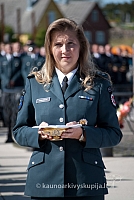 20120910 silines 2202 ms