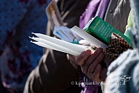 20120910 silines 2219 ms