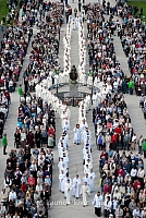 20120912 silines 2622 ms