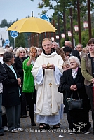 20120912 silines 2742 ms