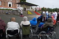 20120913 silines 0008 dch