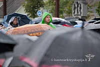 20120913 silines 0013 ms