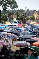 20120913 silines 2907 ms