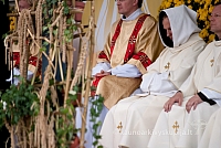 20120914 silines 3027 ms