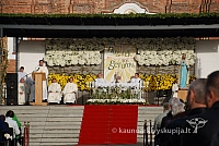 20120915 silines 0250 dch