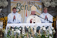 20120916 silines 3641 ms