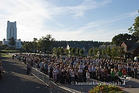 20130908 silines 0496 sk