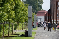 20130913 silines 0007 sk