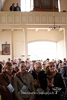 20130914 silines 1038 ms