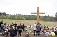 20130914 silines 1066 ms