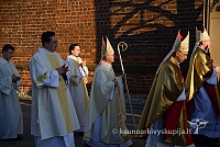 20131111 st75 6040 ms