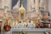 20131111 st75 6063 ms