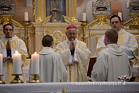 20131111 st75 6066 ms