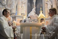 20131111 st75 6098 ms