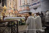 20131111 st75 6187 ms