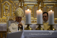 20131111 st75 6278 ms