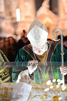 20140302 bosko-r 83 ms