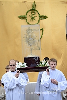 2014 devintines 055 ms