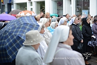 2014 devintines 058 ms