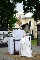 2014 devintines 075 ms