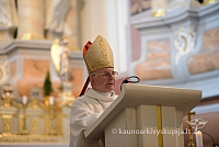 2014 devintines 137 ms