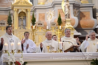 2014 devintines 146 ms