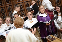 2014 devintines 154 ms