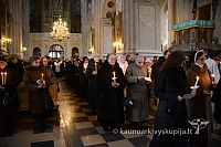 2014 grabnycios 1491 ms