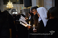 2014 grabnycios 1515 ms