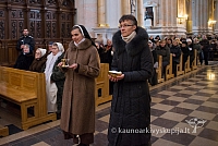 2014 grabnycios 1558 ms