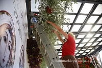 20140906 silines 9718 ms