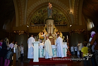 20140906 silines 9805 ms