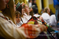 20140906 silines 9825 ms