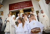 20140906 silines 9894 ms