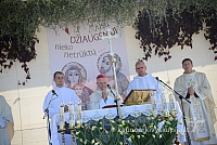 20140907 silines 0076 ms